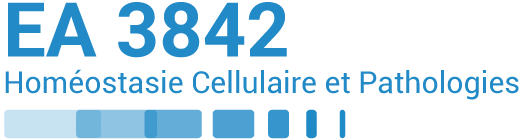 Homéostasie Cellulaire et Pathologies